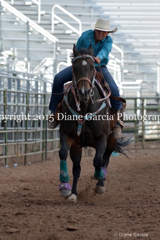 brylee allan jr high rodeo nephi 2015 3 - ID: 14991715 © Diane Garcia