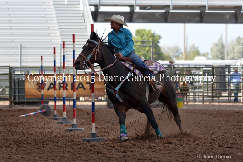 brylee allan jr high rodeo nephi 2015 2 - ID: 14991716 © Diane Garcia