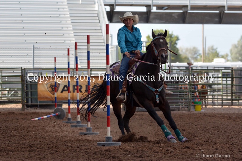 brylee allan jr high rodeo nephi 2015 1 - ID: 14991717 © Diane Garcia
