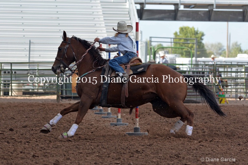 braylee shepherd jr high rodeo nephi 2015 5 - ID: 14991720 © Diane Garcia