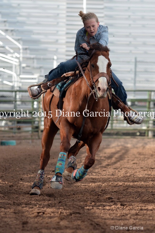 birklee jones jr high rodeo nephi 2015 7 - ID: 14991725 © Diane Garcia