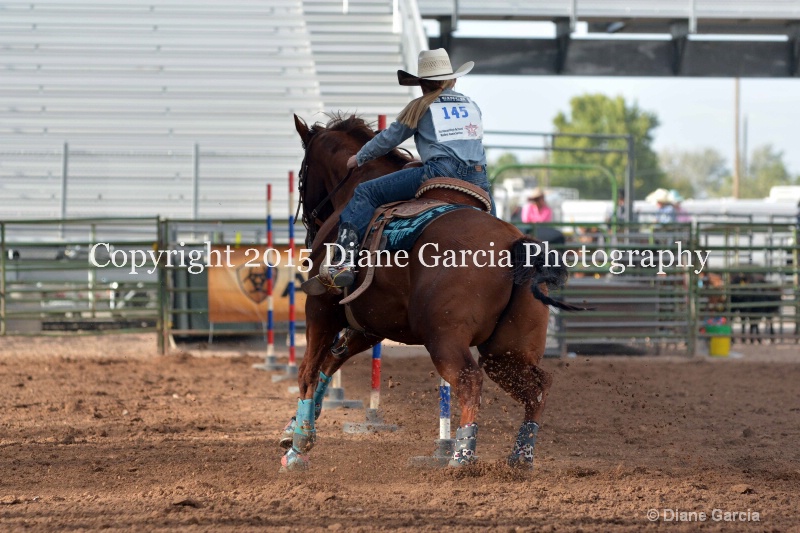 birklee jones jr high rodeo nephi 2015 6 - ID: 14991726 © Diane Garcia