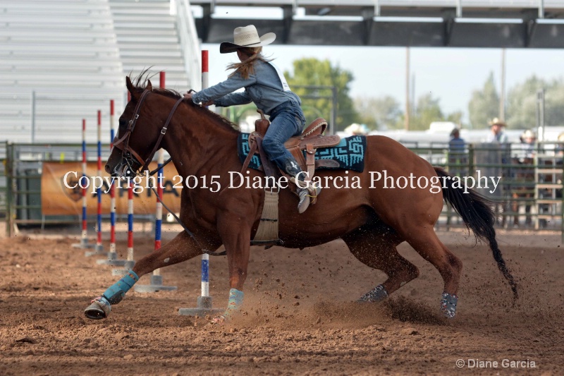 birklee jones jr high rodeo nephi 2015 5 - ID: 14991727 © Diane Garcia