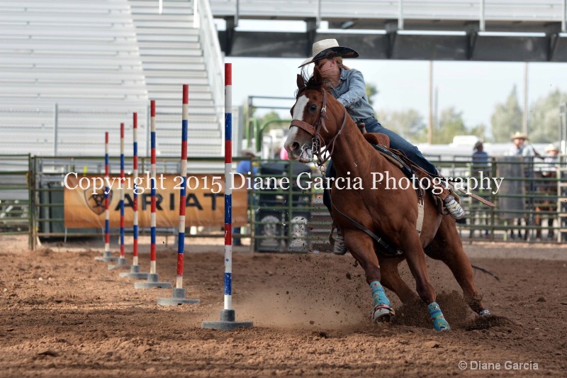 birklee jones jr high rodeo nephi 2015 4 - ID: 14991728 © Diane Garcia