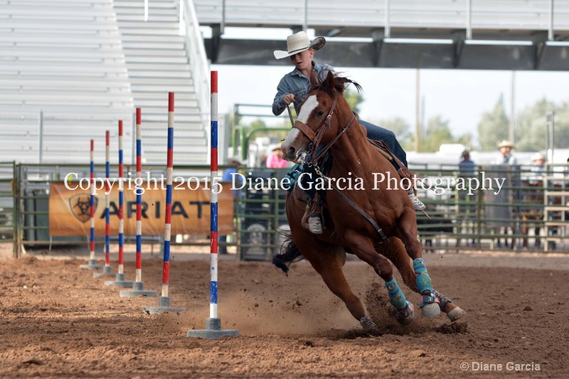 birklee jones jr high rodeo nephi 2015 3 - ID: 14991729 © Diane Garcia