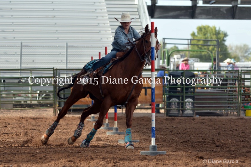 birklee jones jr high rodeo nephi 2015 2 - ID: 14991730 © Diane Garcia