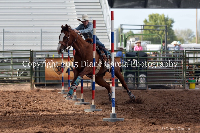 birklee jones jr high rodeo nephi 2015 1 - ID: 14991732 © Diane Garcia