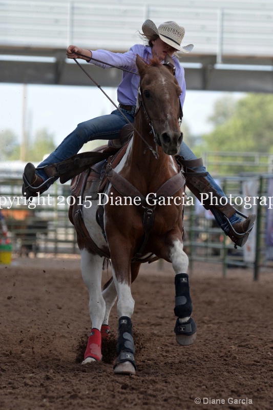 aubrey gourdin jr high rodeo nephi 2015 7 - ID: 14991733 © Diane Garcia