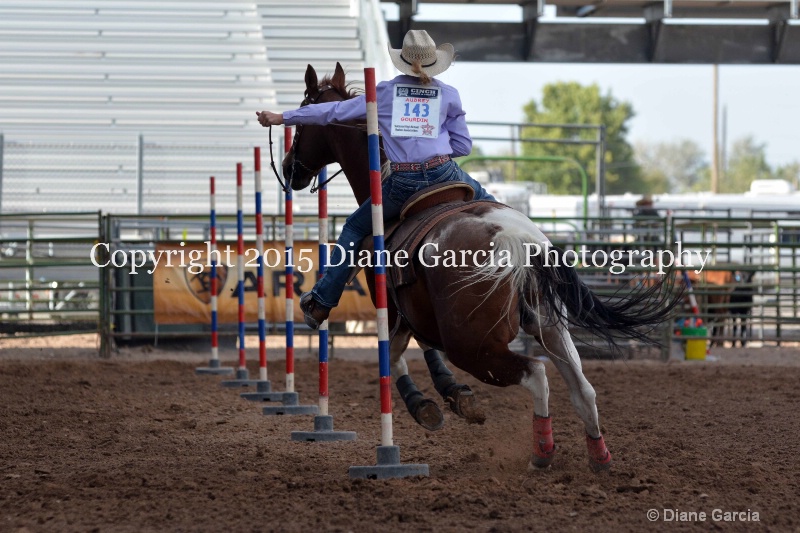 aubrey gourdin jr high rodeo nephi 2015 6 - ID: 14991734 © Diane Garcia