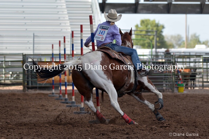 aubrey gourdin jr high rodeo nephi 2015 5 - ID: 14991735 © Diane Garcia