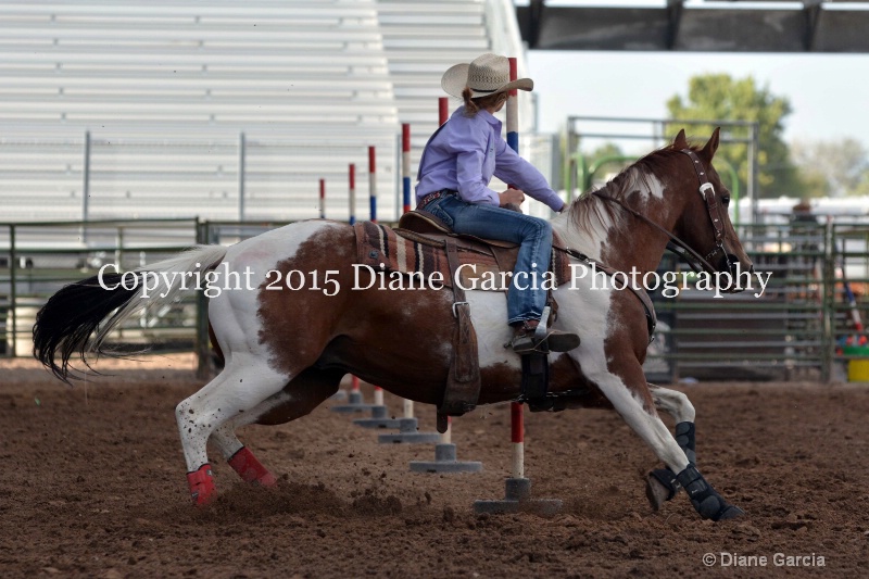 aubrey gourdin jr high rodeo nephi 2015 4 - ID: 14991736 © Diane Garcia