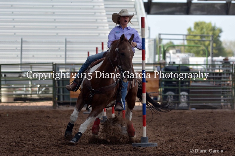 aubrey gourdin jr high rodeo nephi 2015 3 - ID: 14991737 © Diane Garcia