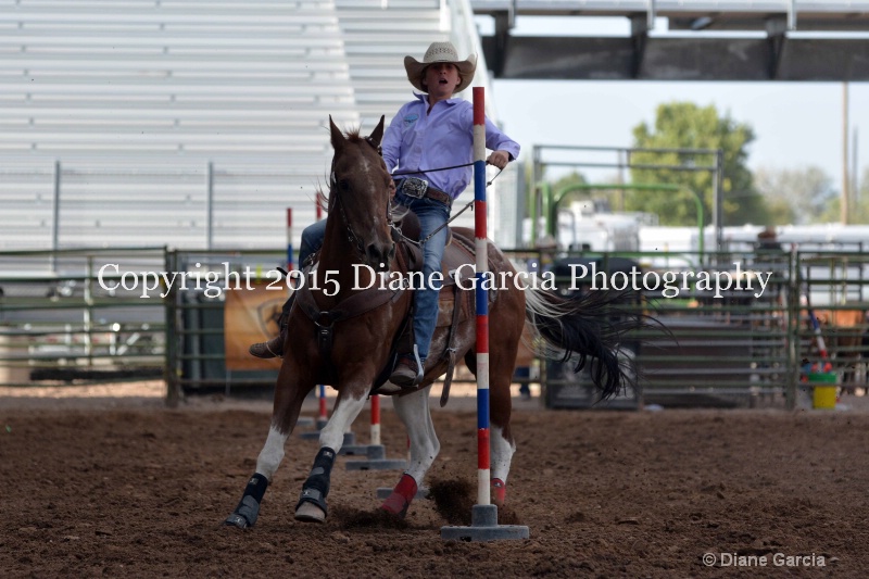aubrey gourdin jr high rodeo nephi 2015 2 - ID: 14991738 © Diane Garcia