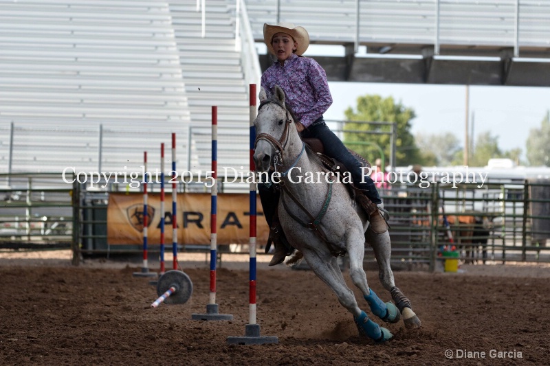 annie okleberry jr high rodeo nephi 2015 2 - ID: 14991740 © Diane Garcia