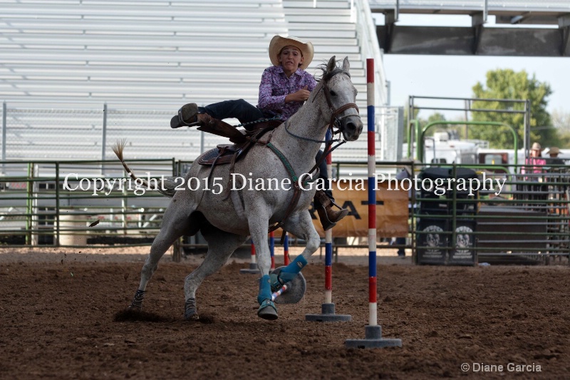annie okleberry jr high rodeo nephi 2015 1 - ID: 14991741 © Diane Garcia