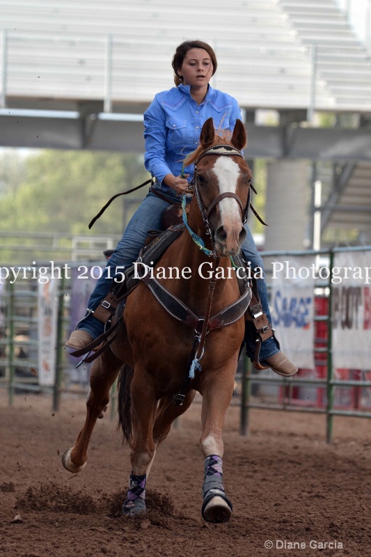 ani english jr high rodeo nephi 2015 4 - ID: 14991742 © Diane Garcia