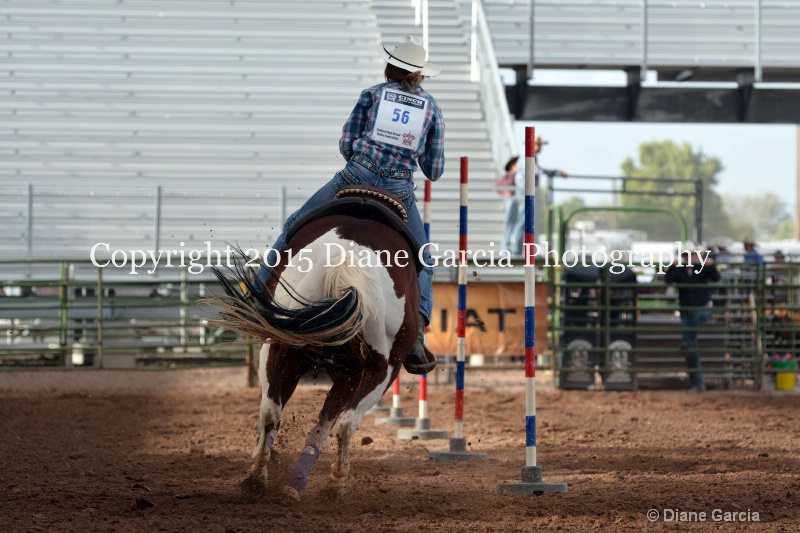 amy mason jr high rodeo nephi 2015 7 - ID: 14991747 © Diane Garcia
