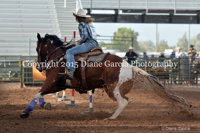 amy mason jr high rodeo nephi 2015 6 - ID: 14991748 © Diane Garcia