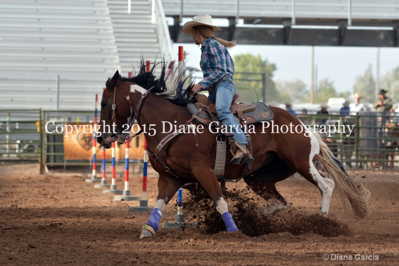 amy mason jr high rodeo nephi 2015 5 - ID: 14991749 © Diane Garcia