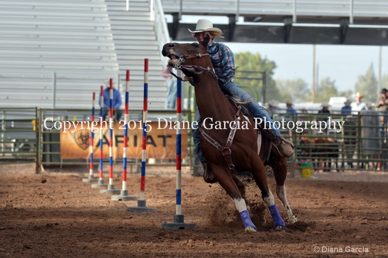 amy mason jr high rodeo nephi 2015 4 - ID: 14991750 © Diane Garcia