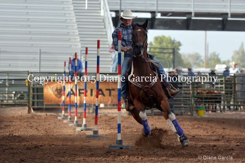 amy mason jr high rodeo nephi 2015 3 - ID: 14991751 © Diane Garcia