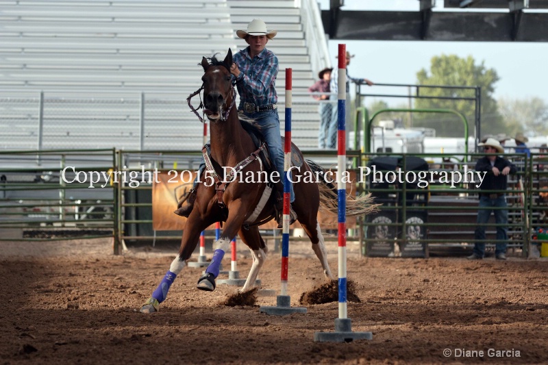 amy mason jr high rodeo nephi 2015 2 - ID: 14991752 © Diane Garcia