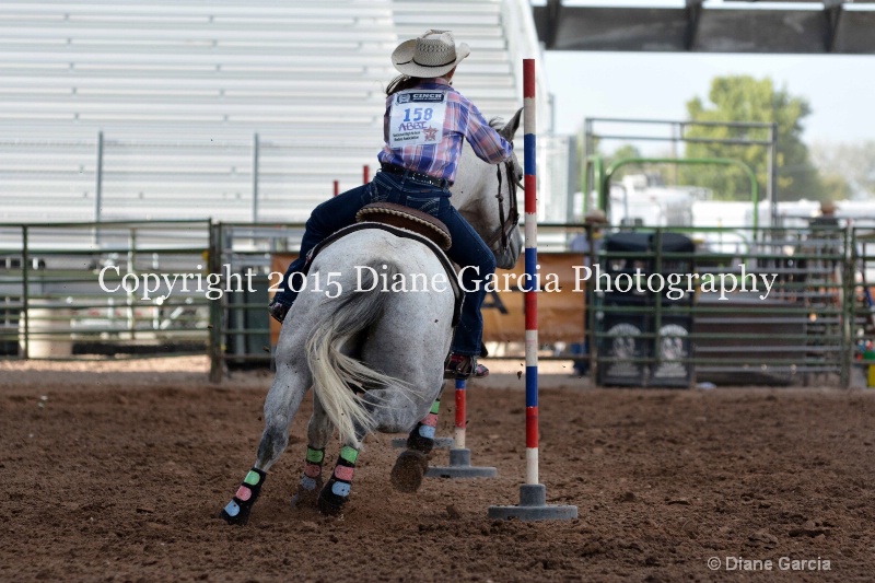 abbi bowthorpe jr high rodeo nephi 2015 7 - ID: 14991755 © Diane Garcia