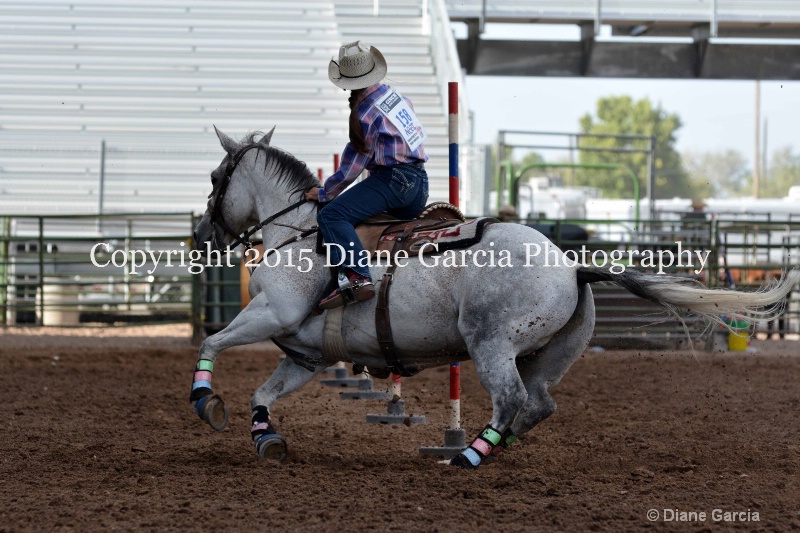 abbi bowthorpe jr high rodeo nephi 2015 6 - ID: 14991756 © Diane Garcia