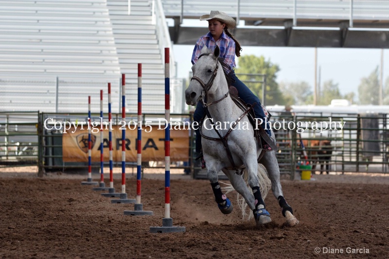 abbi bowthorpe jr high rodeo nephi 2015 5 - ID: 14991757 © Diane Garcia