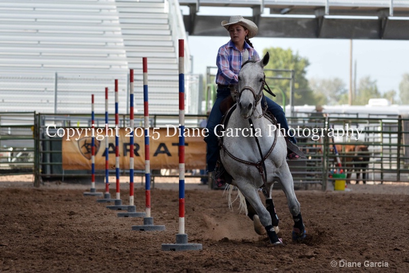 abbi bowthorpe jr high rodeo nephi 2015 4 - ID: 14991758 © Diane Garcia