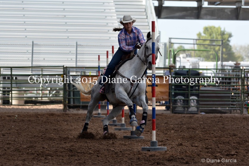 abbi bowthorpe jr high rodeo nephi 2015 2 - ID: 14991760 © Diane Garcia