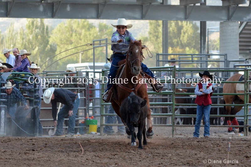 kylan platt jr high rodeo nephi 2015 1 - ID: 14991828 © Diane Garcia