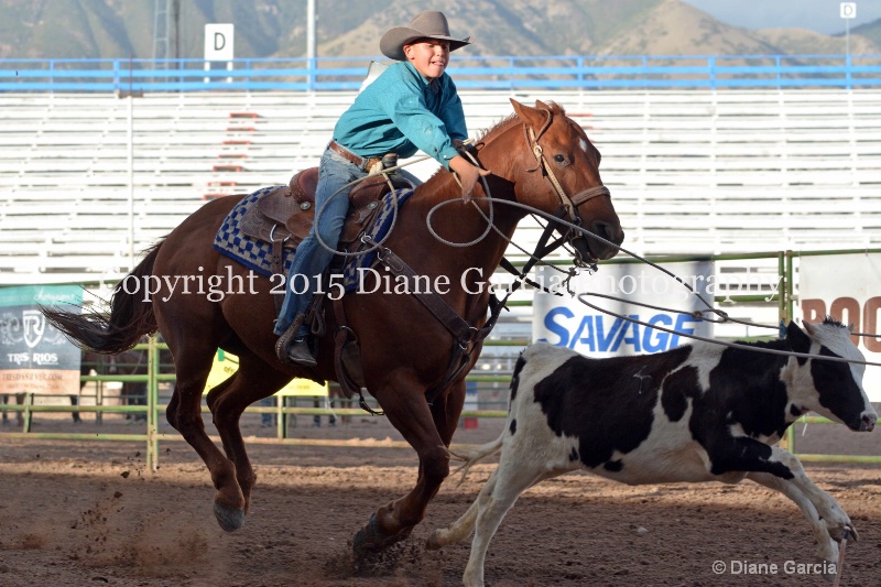 korby christiansen jr high rodeo nephi 2015 2 - ID: 14991831 © Diane Garcia