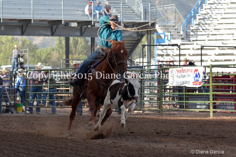 korby christiansen jr high rodeo nephi 2015 1 - ID: 14991832 © Diane Garcia