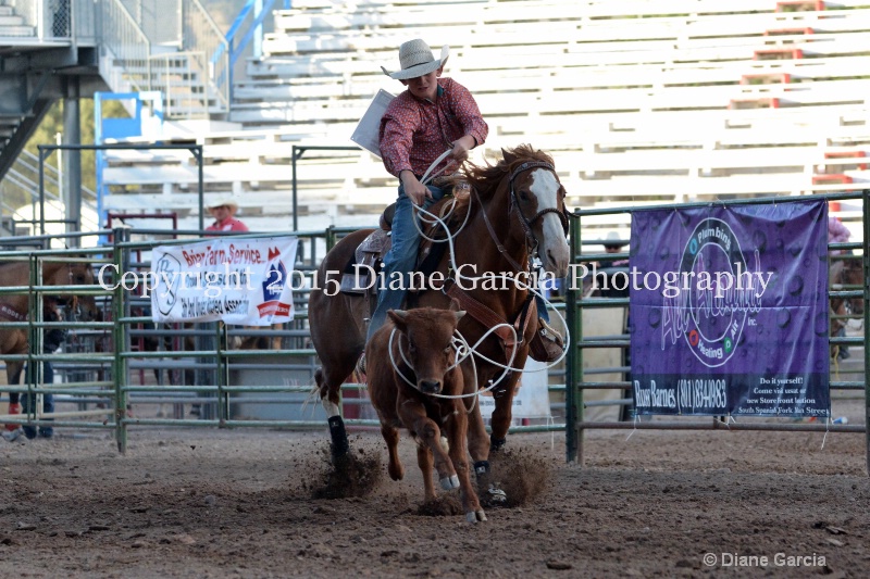kolton iverson jr high rodeo nephi 1 - ID: 14991833 © Diane Garcia