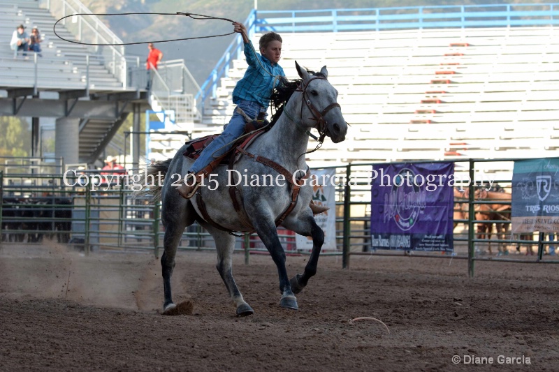 kage ott jr high rodeo nephi 2015 1 - ID: 14991835 © Diane Garcia