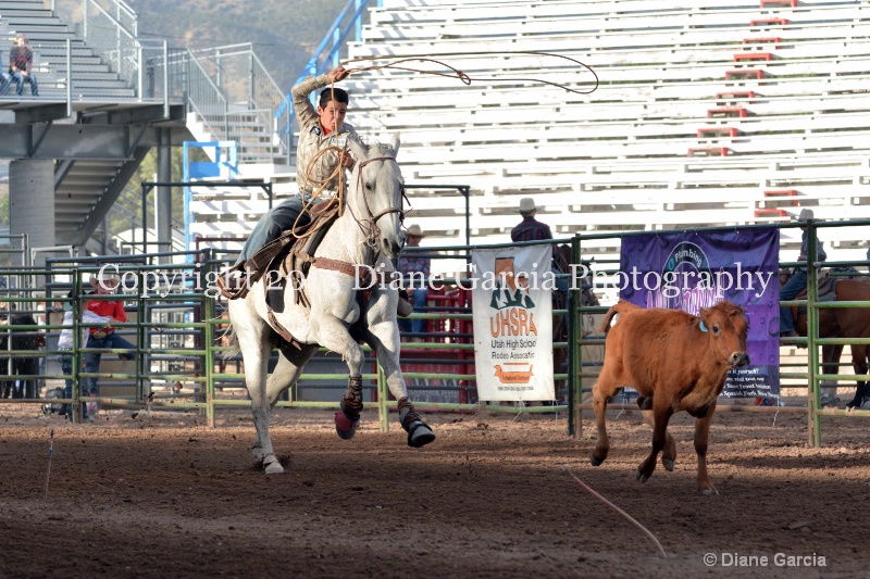 joey dansie jr high rodeo nephi 2015 1 - ID: 14991838 © Diane Garcia