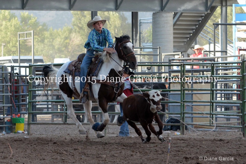 jaxon graff jr high rodeo nephi 2015 1 - ID: 14991840 © Diane Garcia
