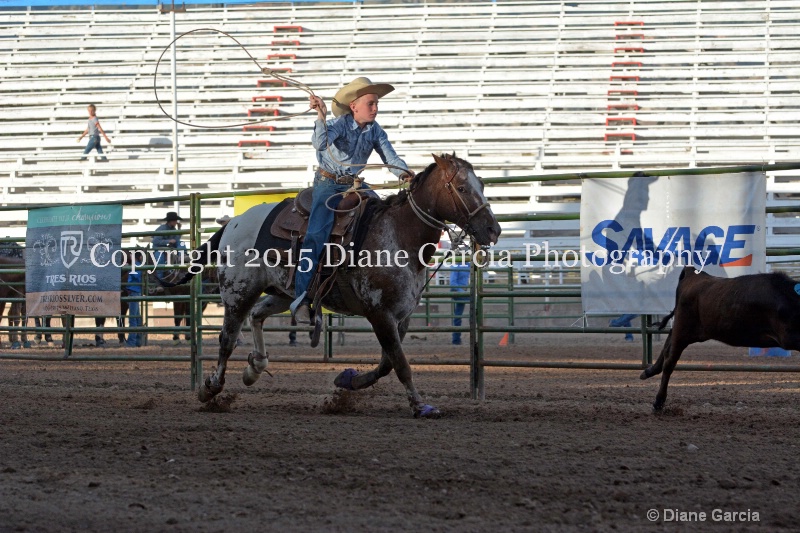 jake woodland jr high rodeo nephi 2015 1 - ID: 14991841 © Diane Garcia