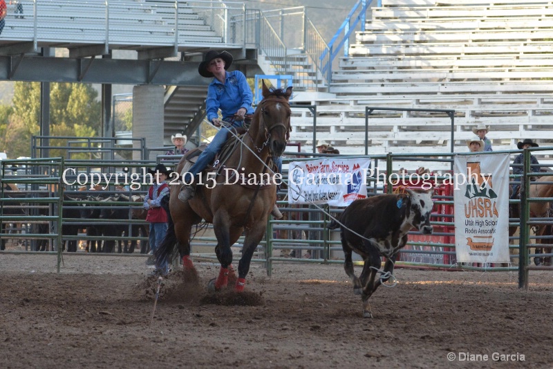 jade rindlisbacher jr high rodeo nephi 2015 5 - ID: 14991842 © Diane Garcia