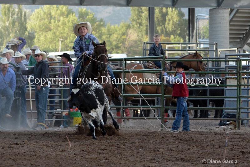 jackson woolsey jr high rodeo nephi 2015 1 - ID: 14991843 © Diane Garcia