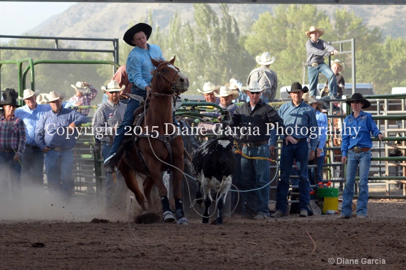 jace jones jr high rodeo nephi 2015 1 - ID: 14991844 © Diane Garcia
