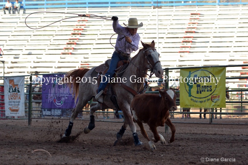 haygen kagianes jr high rodeo nephi 2015 1 - ID: 14991846 © Diane Garcia