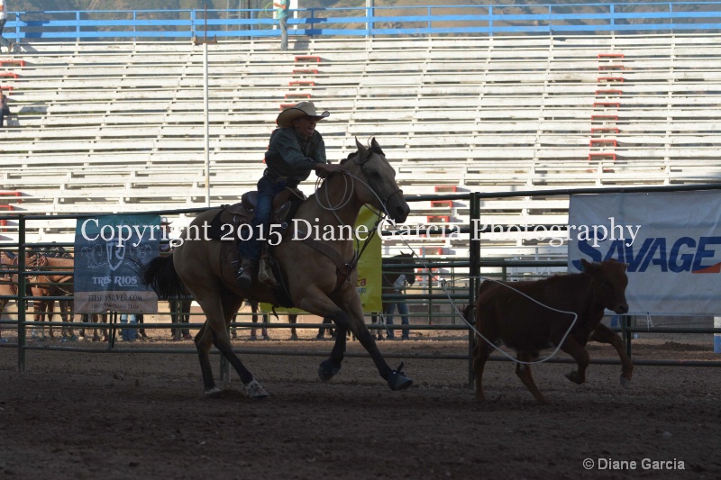 hayden roundy jr high rodeo nephi 2015 1 - ID: 14991847 © Diane Garcia