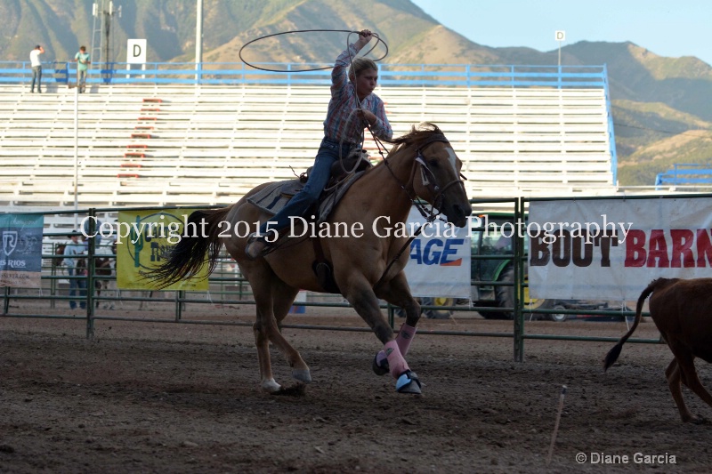hattie cornia jr high rodeo nephi 2015 1 - ID: 14991848 © Diane Garcia