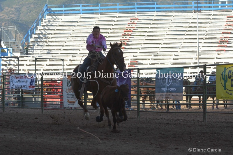 dayden johnson jr high rodeo nephi 2015 1 - ID: 14991850 © Diane Garcia