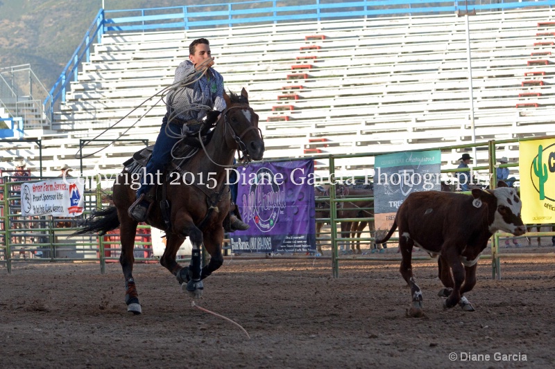 cooper stokes jr high rodeo nephi 2015 1 - ID: 14991851 © Diane Garcia
