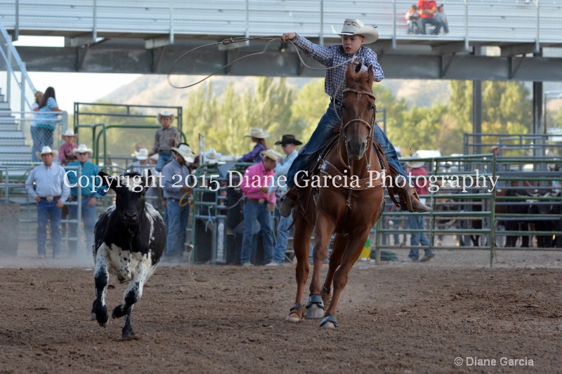 cameron drake jr high rodeo nephi 2015 1 - ID: 14991853 © Diane Garcia