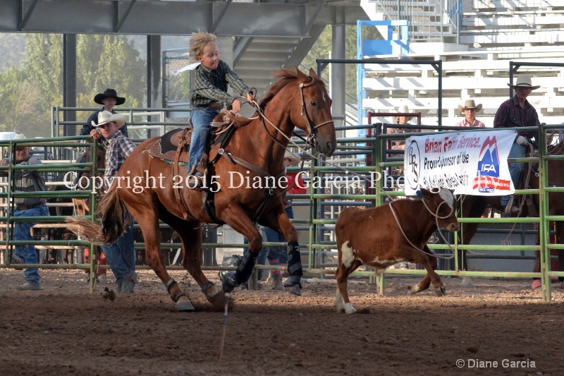 caden drake jr high rodeo nephi 2015 3 - ID: 14991854 © Diane Garcia