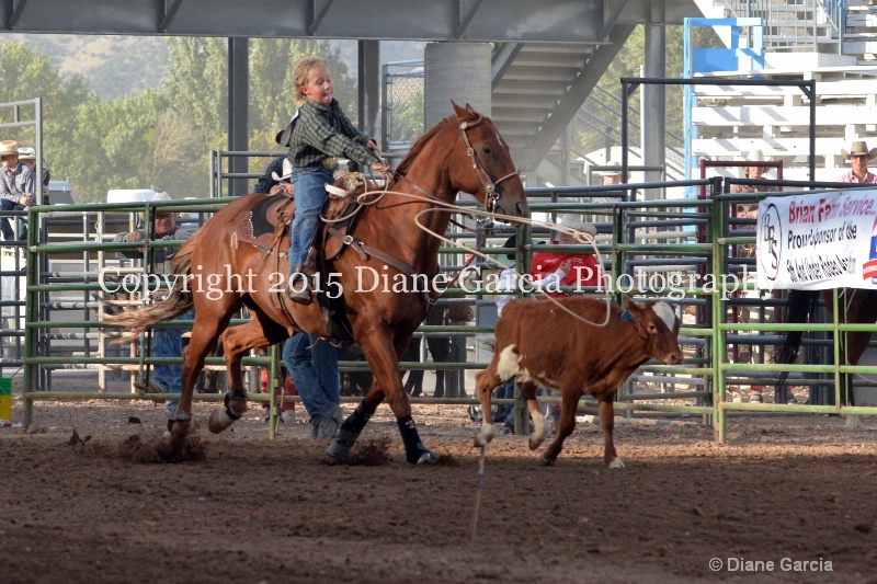 caden drake jr high rodeo nephi 2015 2 - ID: 14991855 © Diane Garcia